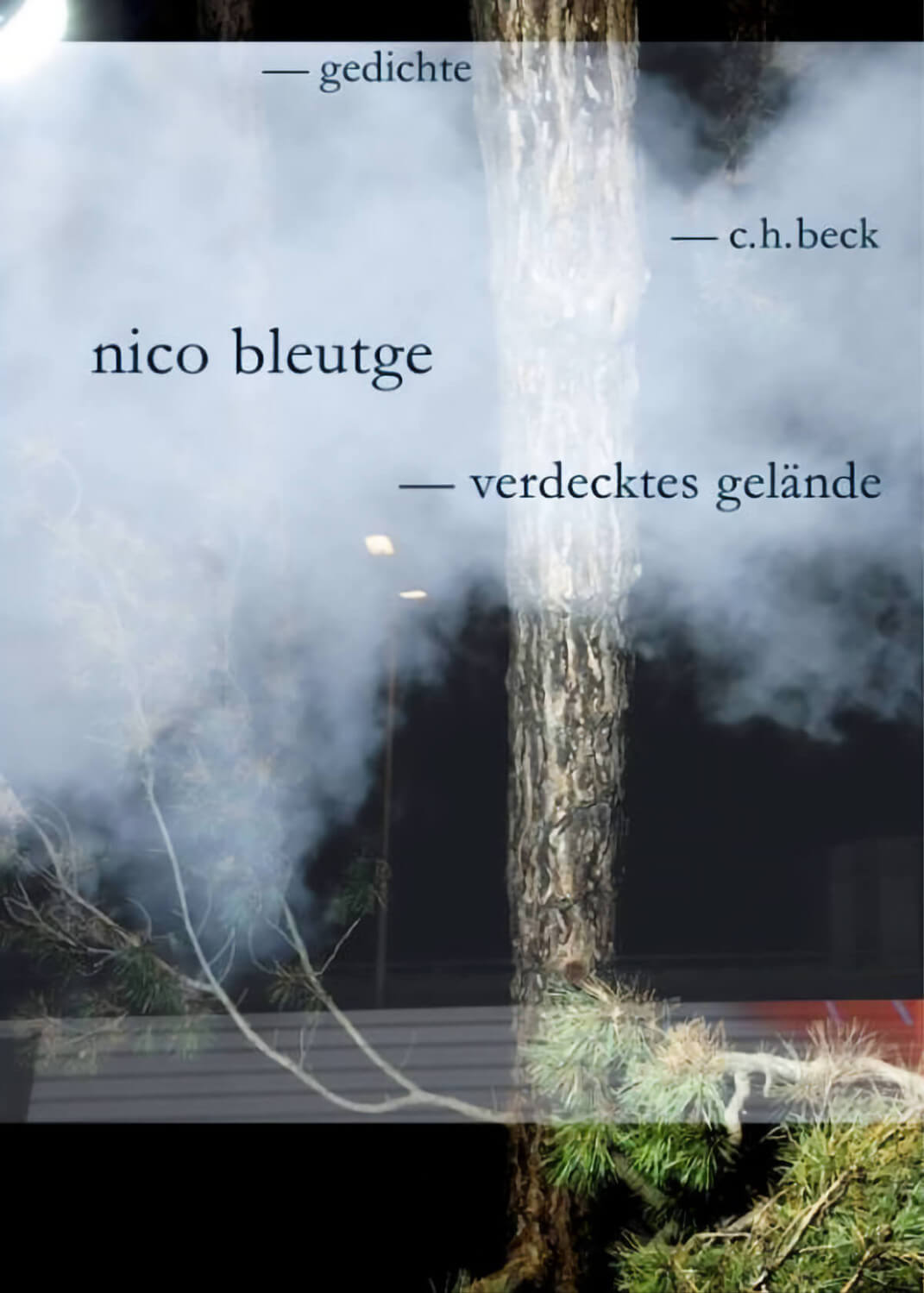 Nico Bleutge: verdecktes gelände