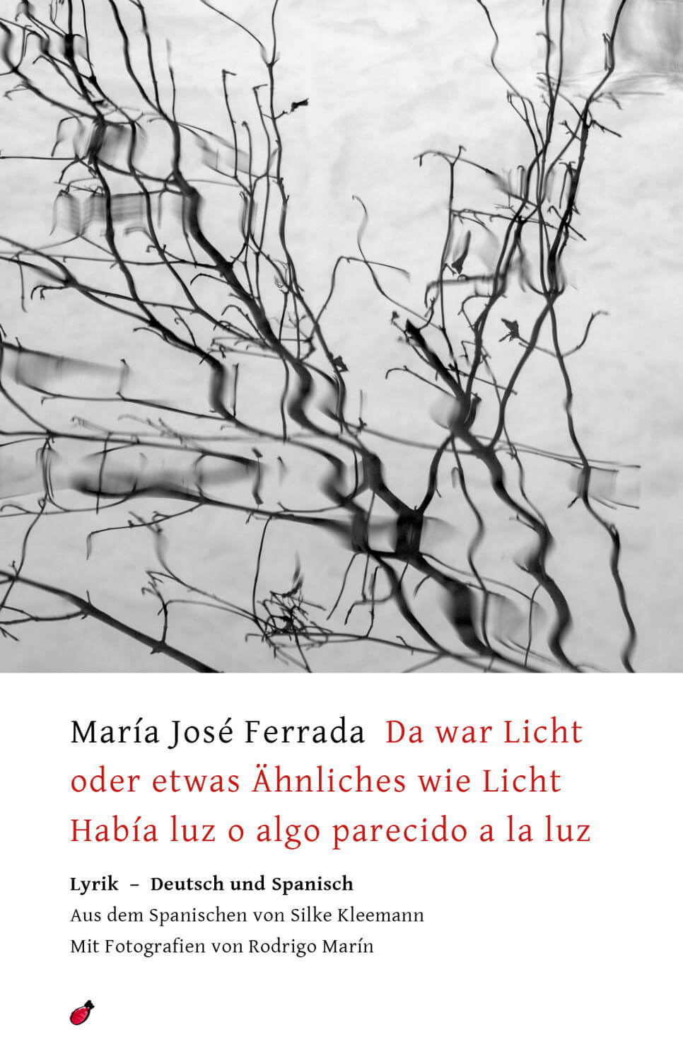 María José Ferrada: Da war Licht oder etwas Ähnliches wie Licht / Había luz o algo parecido a la luz