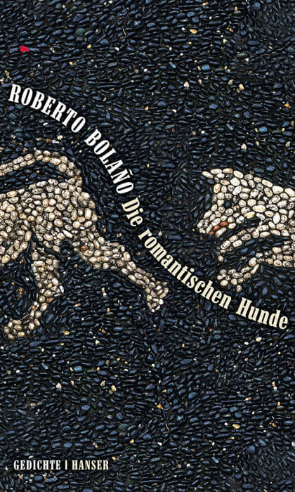 Roberto Bolaño - Die romantischen Hunde